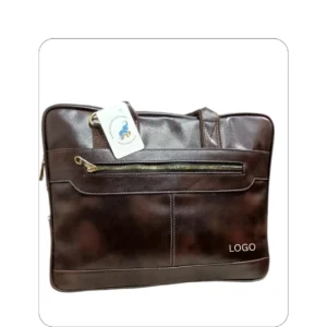 Laptop Expandable Bag (Golden Zip)