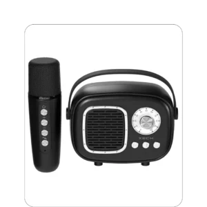 XECH Karaoke Speaker with Wireless Mic